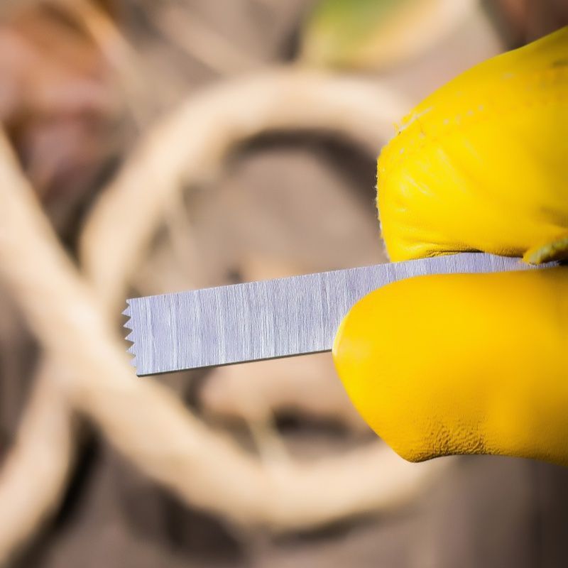 Emergency Fire Starter Set - 2 - مراجعة Magnesium Fire Starter وسعره